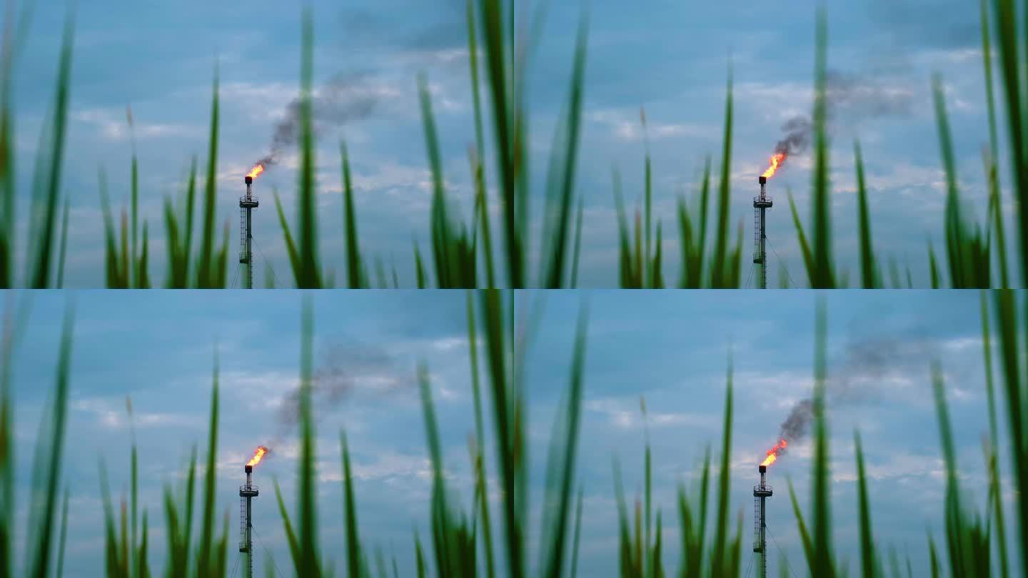从油田或气田的草丛中可以看到烟囱塔上的燃气燃烧火焰。环境污染和全球变暖的概念
