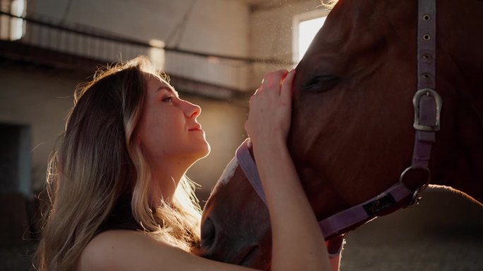 幸福的女人在农场抚摸着友好的栗色马的脸
