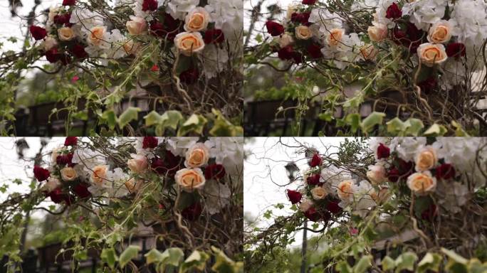 优雅的婚礼拱门装饰着红、白玫瑰。户外婚礼装饰，插花特写，花园婚礼设置。新娘牌坊鲜花，浪漫场地细节，活