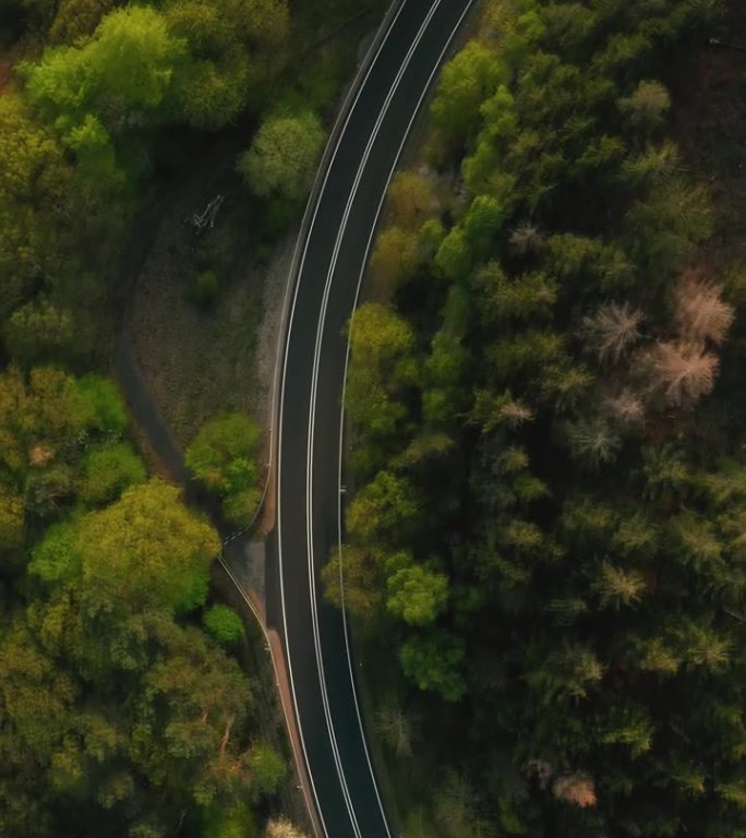 在阳光明媚的夏日，森林公路上的汽车。广角追求拍摄垂直视频卷轴和故事