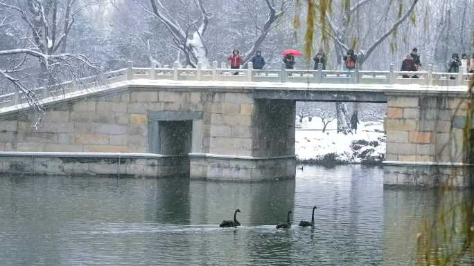 冬天北京颐和园界湖桥雪景