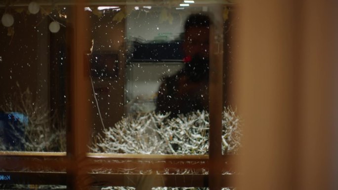 晚上透过家里的玻璃窗看到白雪覆盖的光秃秃的树
