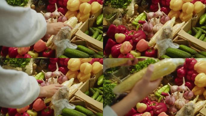 食品购物市场蔬菜配送，网上购物。在超市买西红柿，黄瓜，辣椒，西兰花，新鲜蔬菜，袋装商品，素食健康食品