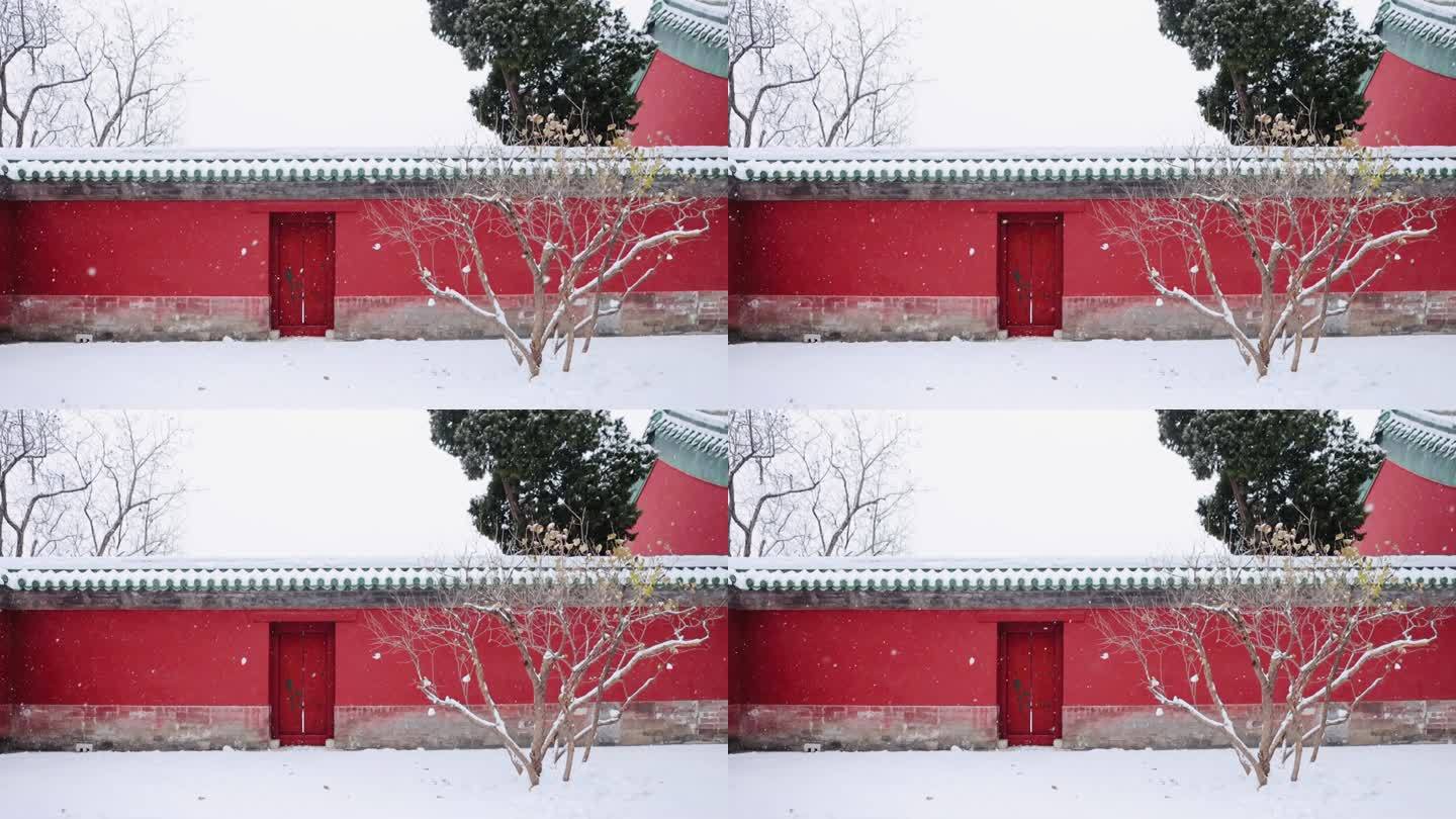 实拍北京2023年初雪天坛斋宫飘雪雪景