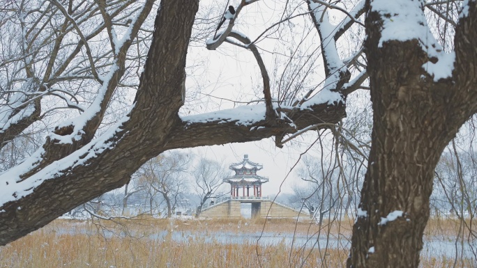 冬天北京颐和园西堤雪景