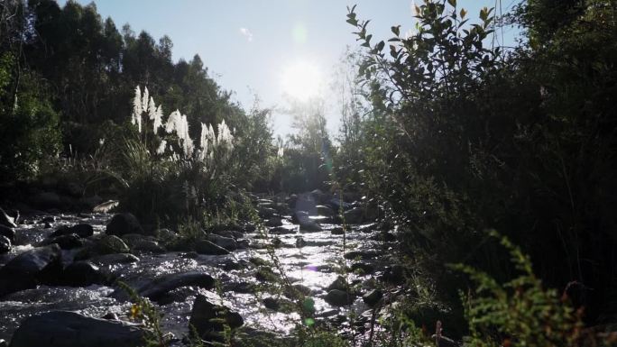 在秘鲁安第斯山脉偏远的白色科迪勒拉，阳光直射穿过长草，沿着一条生机勃勃的河流，伴随着太阳耀斑。