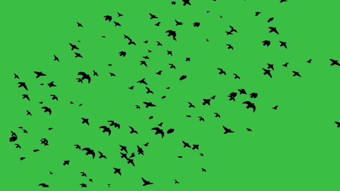 黑色的鸟在绿色的屏幕上飞翔。