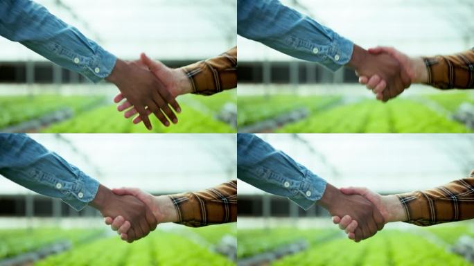 温室农业，握手或b2b合作伙伴协议的可持续性或农业生产。成功，握手或特写的人或农民在小企业合作或协议