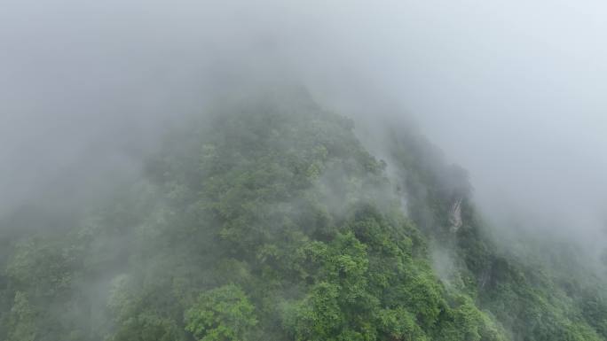 大山深处原始森林神秘云雾缭绕