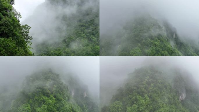 大山深处原始森林神秘云雾缭绕