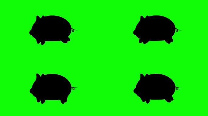 小猪在绿幕上奔跑动画。4K(色度键)。