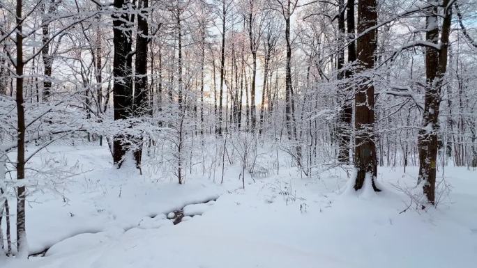 霜冻的冬日公园里夕阳西下，树枝上挂满了雪花，雪花缓缓地飘落，寂静而寂静