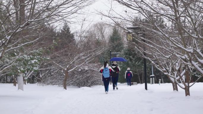 下雪天 学生们上学的路上 洁白的地面
