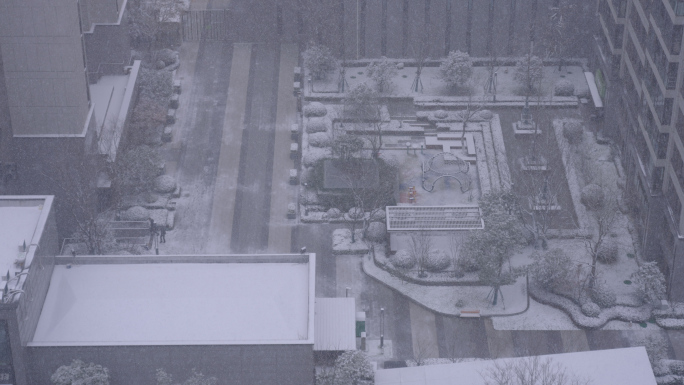 实拍·城市大雪天雪景