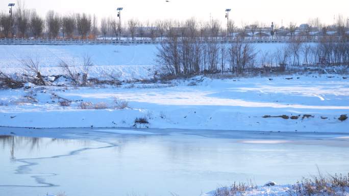 航拍雪景公路交通 湿地雪景 航拍雪景城市