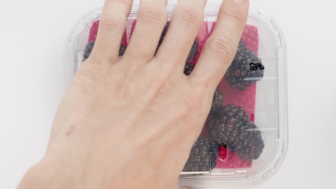 我用白色背景的透明盖子盖上黑莓。