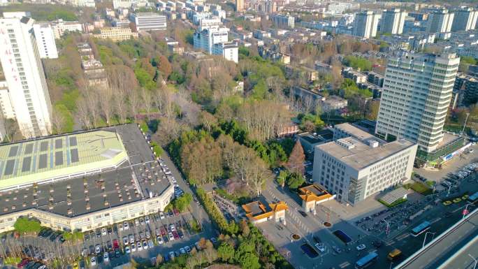 南京市玄武区南京林业大学校园风景航拍素材