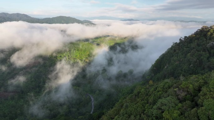 空中无人机拍摄的早晨有很多雾和薄雾的雨林，哈拉巴拉野生动物保护区是泰国的保护区之一。被称为亚洲的亚马