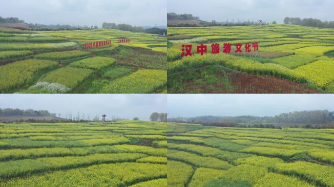 汉中 油菜花 旅游 文化 航拍