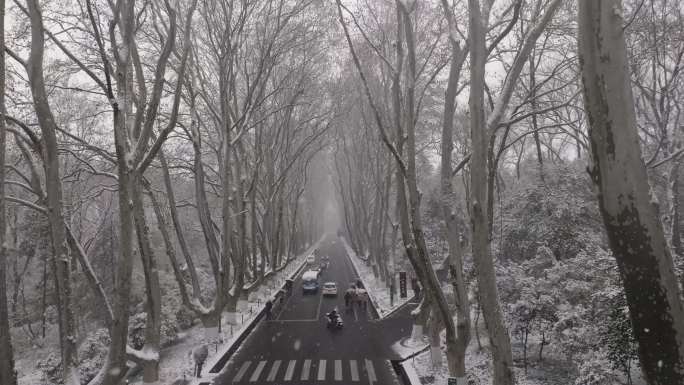 雪中南京紫金山航拍