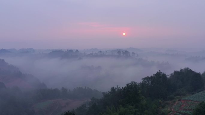 乡村 晨雾 日出 云海