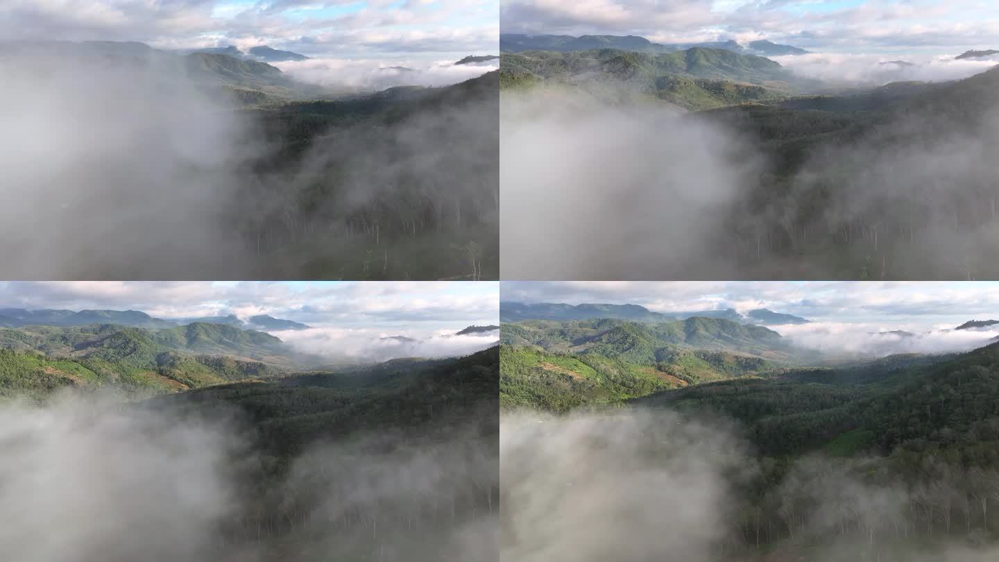 泰国南部的雅拉省，空中无人机拍摄的早晨有很多雾和薄雾的雨林