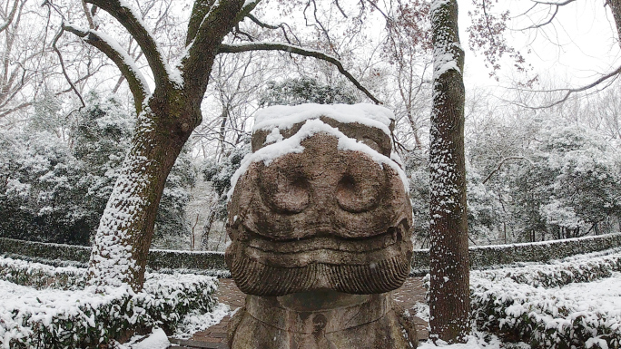 石象路雪景升格拍摄 慢动作