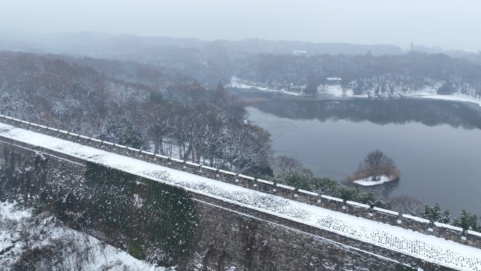 下雪 大雪天紫金山雪景南京雪景雪景冬天