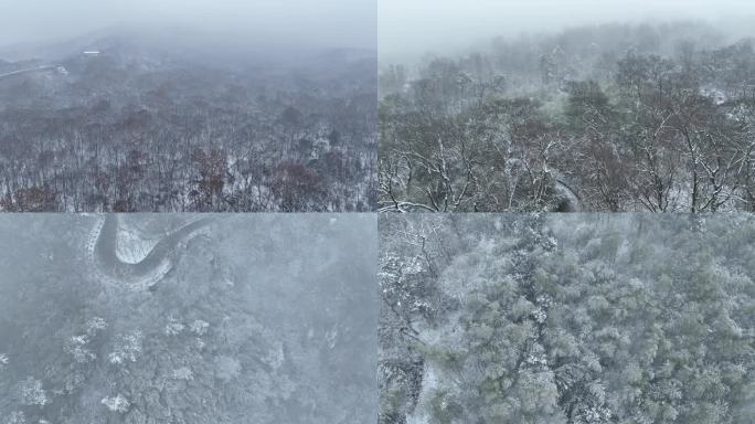 下雪 大雪天紫金山雪景南京雪景雪景冬天