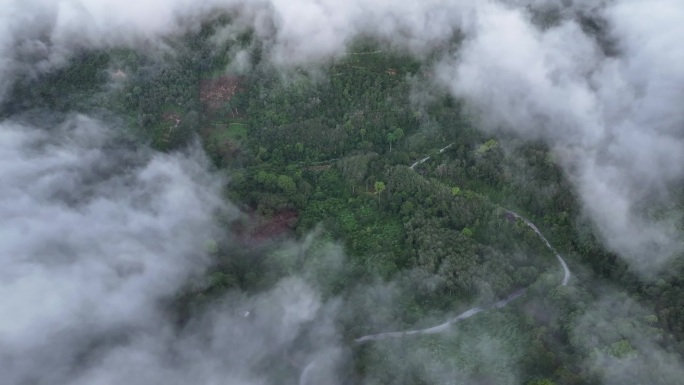 空中无人机拍摄的早晨有很多雾和薄雾的雨林，哈拉巴拉野生动物保护区是泰国的保护区之一。被称为亚洲的亚马