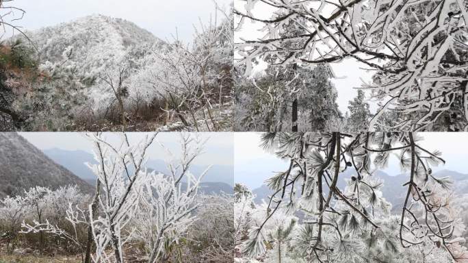 【合集】大雪覆盖的龙门山杏梅尖原始森林