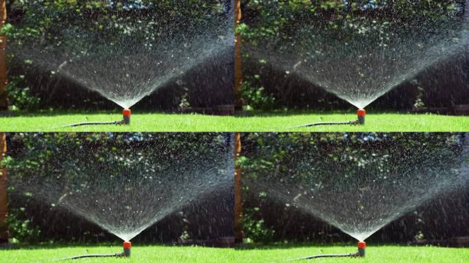洒水喷头浇灌草坪。洒水灌溉系统在绿色后院工作。智能花园概念。