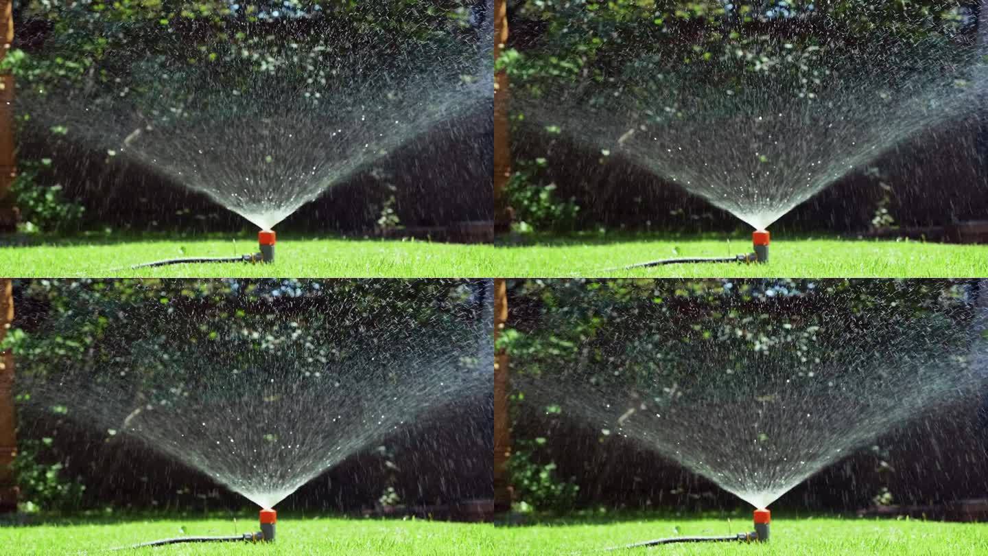 洒水喷头浇灌草坪。洒水灌溉系统在绿色后院工作。智能花园概念。