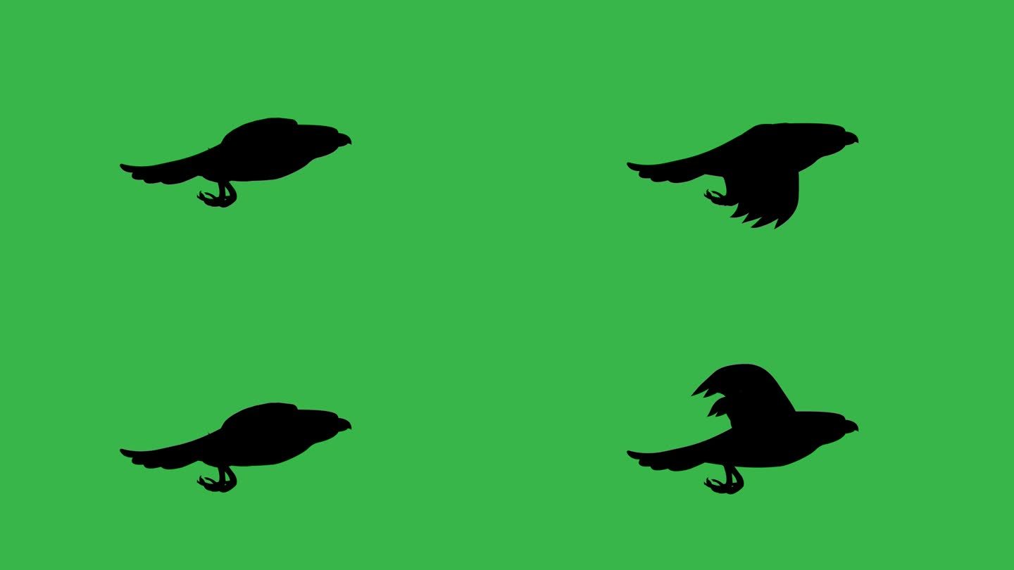 绿色背景上的飞鹰剪影动画。4 k