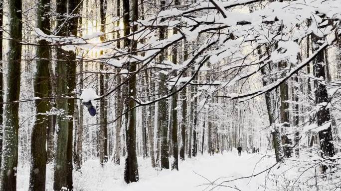 霜冻的冬日公园里夕阳西下，树枝上挂满了雪花，雪花缓缓地飘落，寂静而寂静