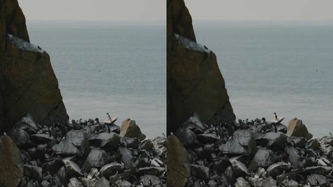 临海峭壁上的岩层手机竖拍竖屏海岸线沿海地