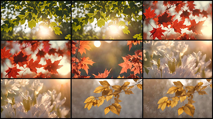 温暖阳光照耀植物美好意境CG影片
