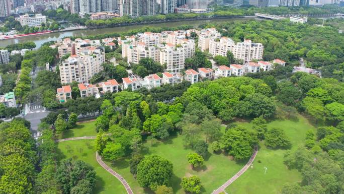 广州二沙岛公园自然风景航拍