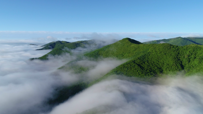 【山水风景合集】大自然森林河流山水云海