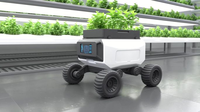 机器人在有机农场工作，智能机器人农民概念，农业技术