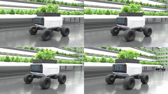 机器人在有机农场工作，智能机器人农民概念，农业技术