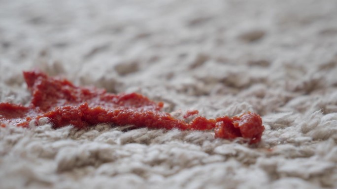 室内地毯上的番茄污渍，