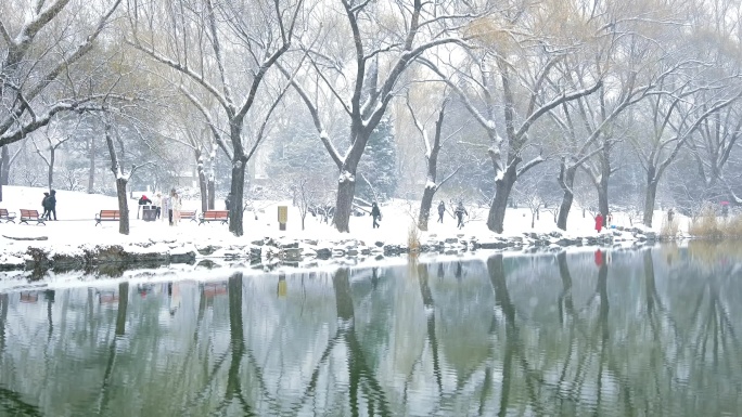 冬天北京颐和园雪景