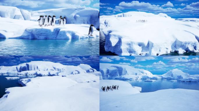北极冰岛企鹅