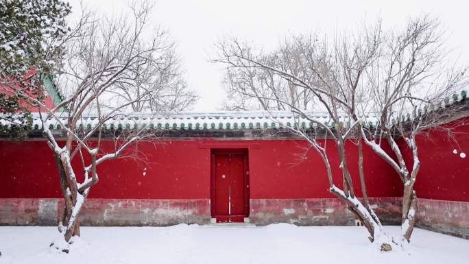 实拍北京2023年初雪天坛斋宫飘雪雪景