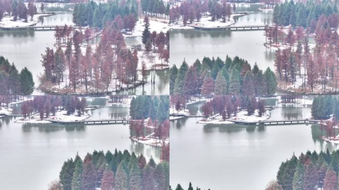 航拍湿地公园雪景树林湖岛木屋鸟类杉树木