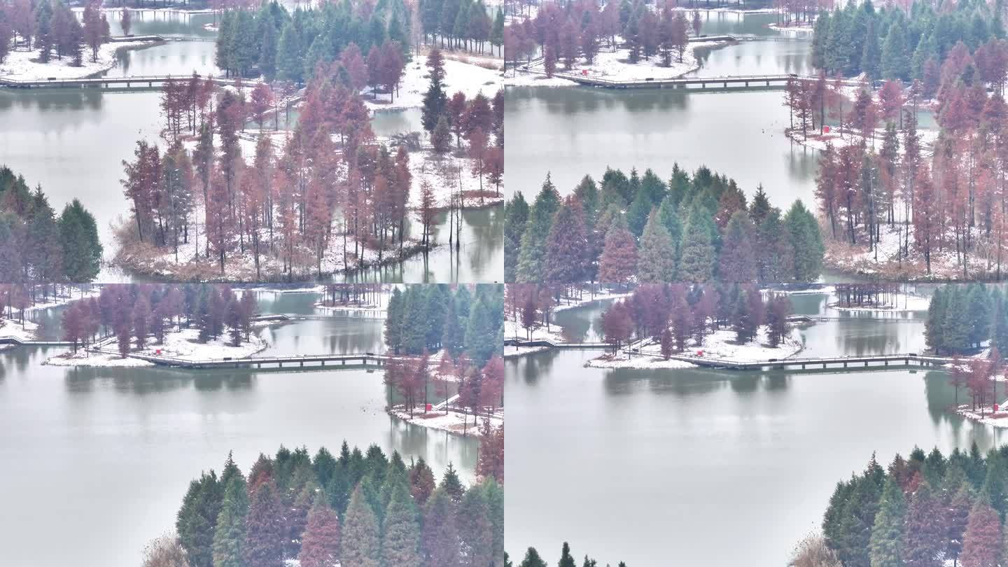 航拍湿地公园雪景树林湖岛木屋鸟类杉树木