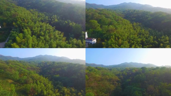 茂密的森林航拍空镜2