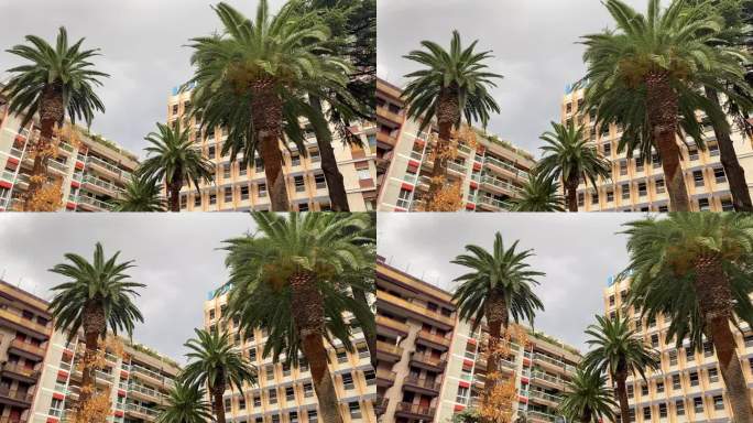 随着镜头的移动，意大利风景如画的巴里小镇呈现出一幅迷人的景色，棕榈树优雅地矗立在令人惊叹的公寓前。
