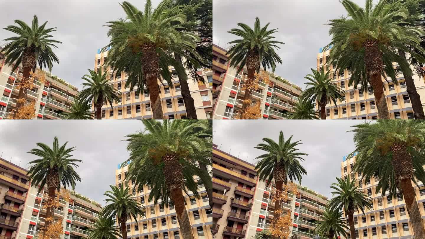 随着镜头的移动，意大利风景如画的巴里小镇呈现出一幅迷人的景色，棕榈树优雅地矗立在令人惊叹的公寓前。